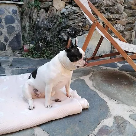 Casa Dos Avos 23 * Castro Daire