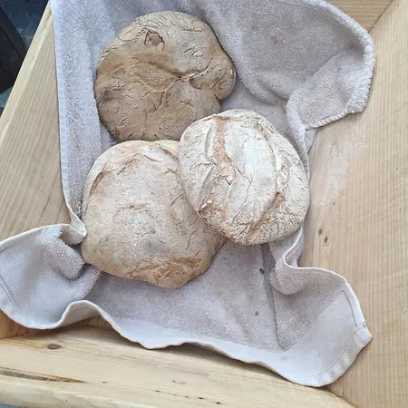 Holiday home Casa Dos Avos 23 *