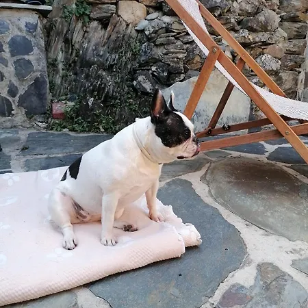 Casa Dos Avos 23 Holiday home Castro Daire