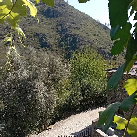 Casa Dos Avos 23