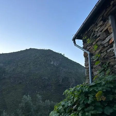 Holiday home Casa Dos Avos 23 Castro Daire