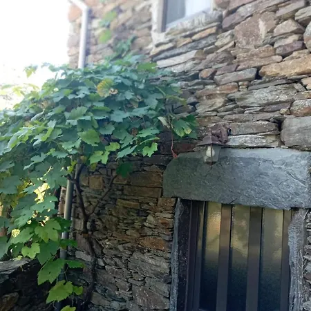 Casa Dos Avos 23 *
