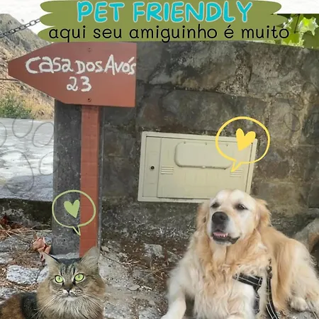 Holiday home Casa Dos Avos 23