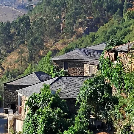 Casa Dos Avos 23 Holiday home Castro Daire