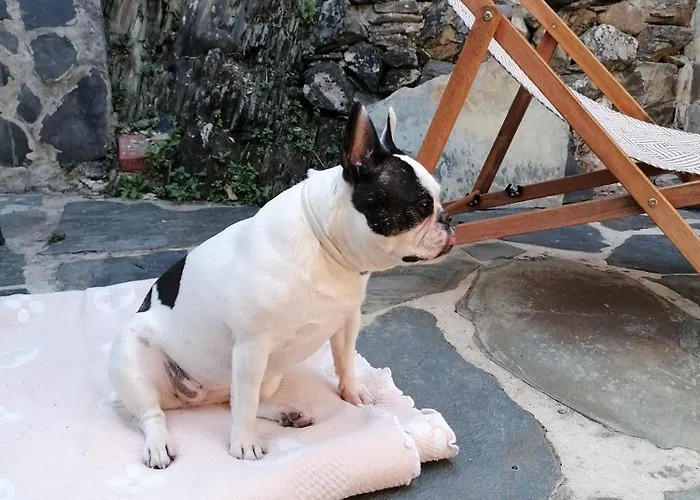 Casa Dos Avos 23 Nyaraló Castro Daire